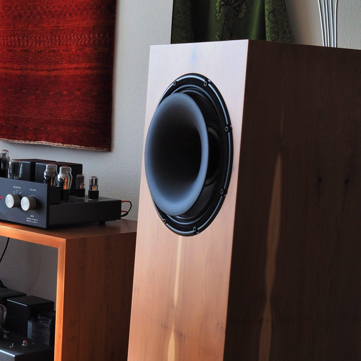 Tobian Sound Systems 12HC Coaxial Horn Speaker