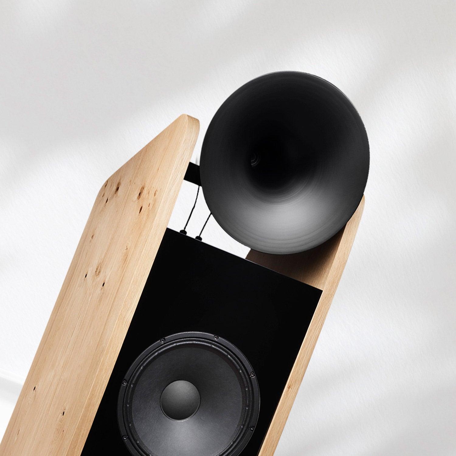 Tobian Sound System 15 Signature Horn Speaker