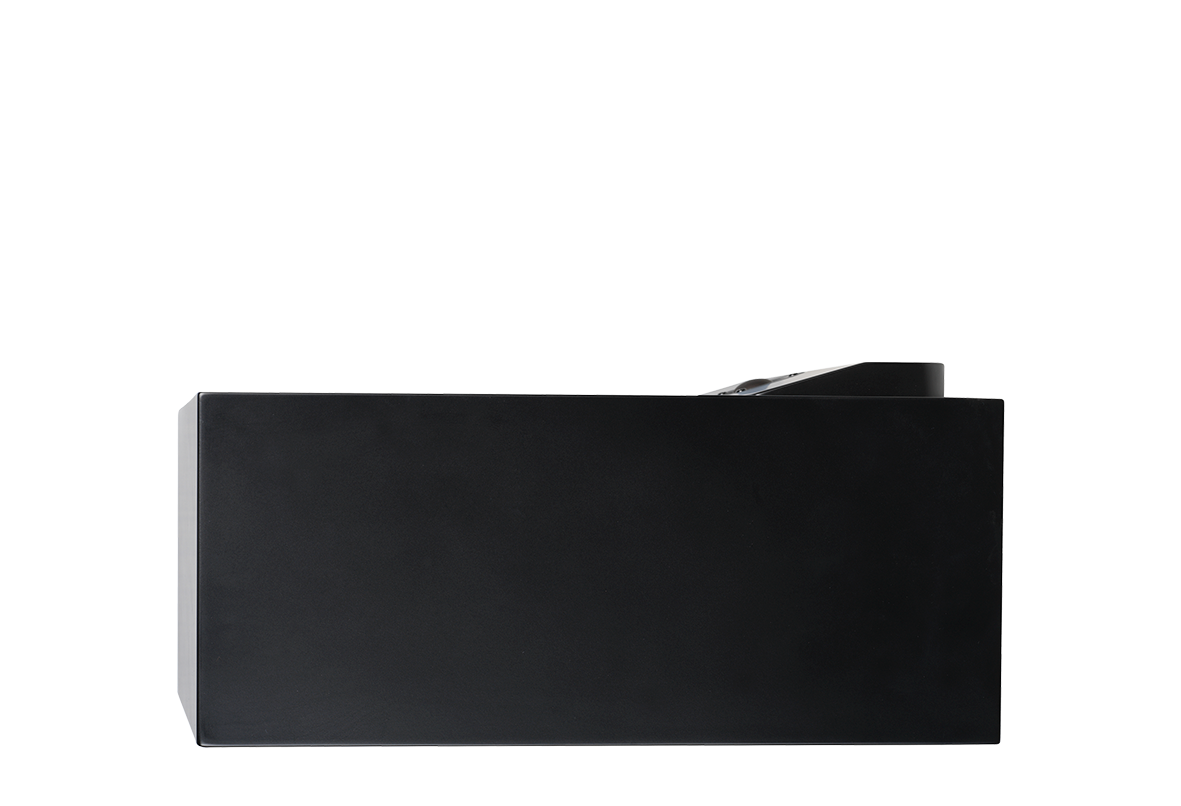 Lyngdorf CS-2, Full Range Speaker