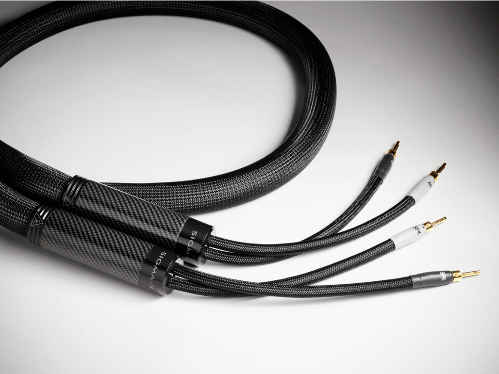 Shunyata Sigma X Speaker Cables