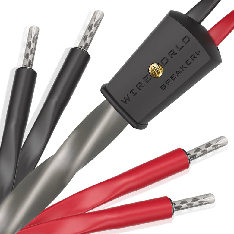 Wireworld Equinox® 10 Speaker Cable