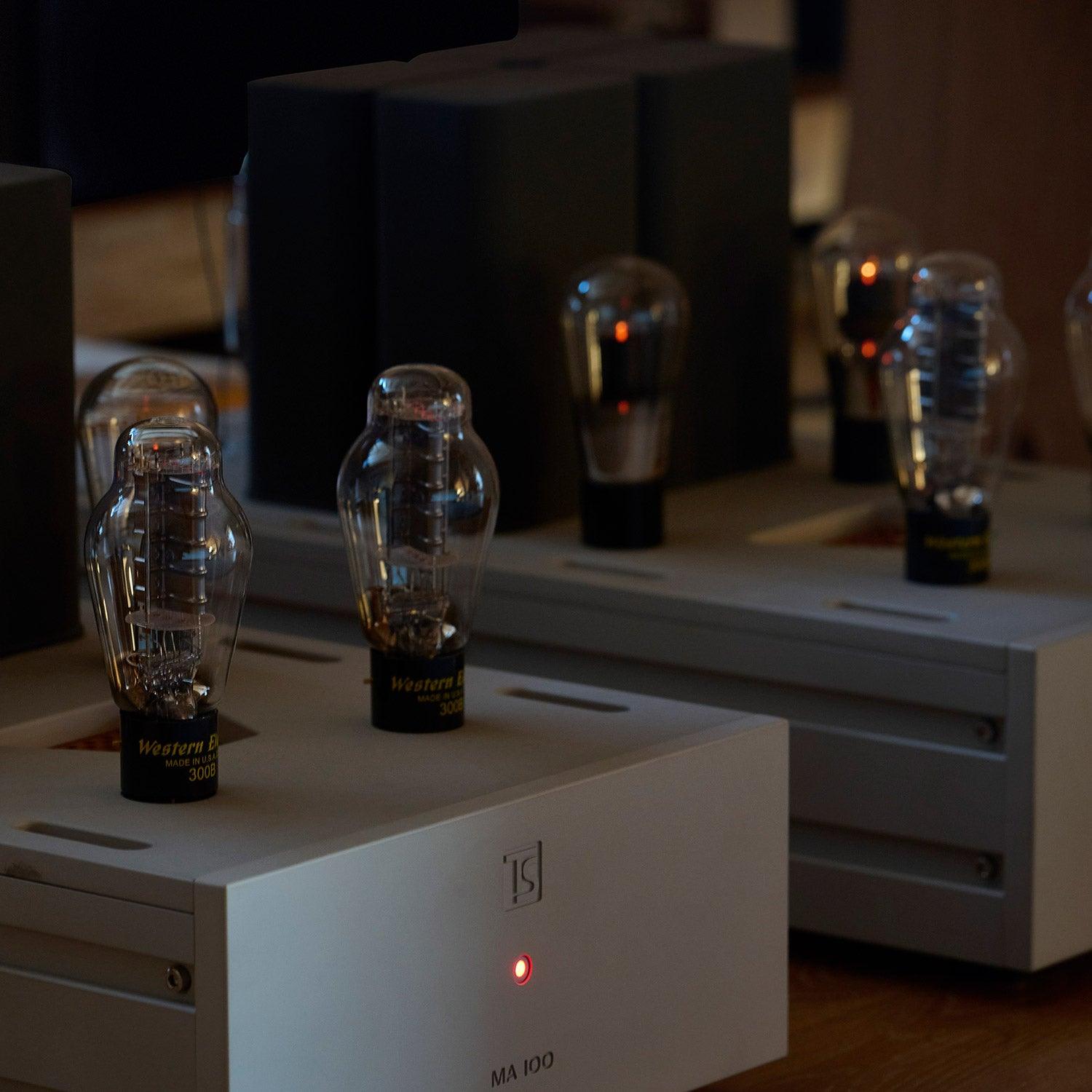 Tobian Sound Systems MA 100 Mono Power Amplifiers