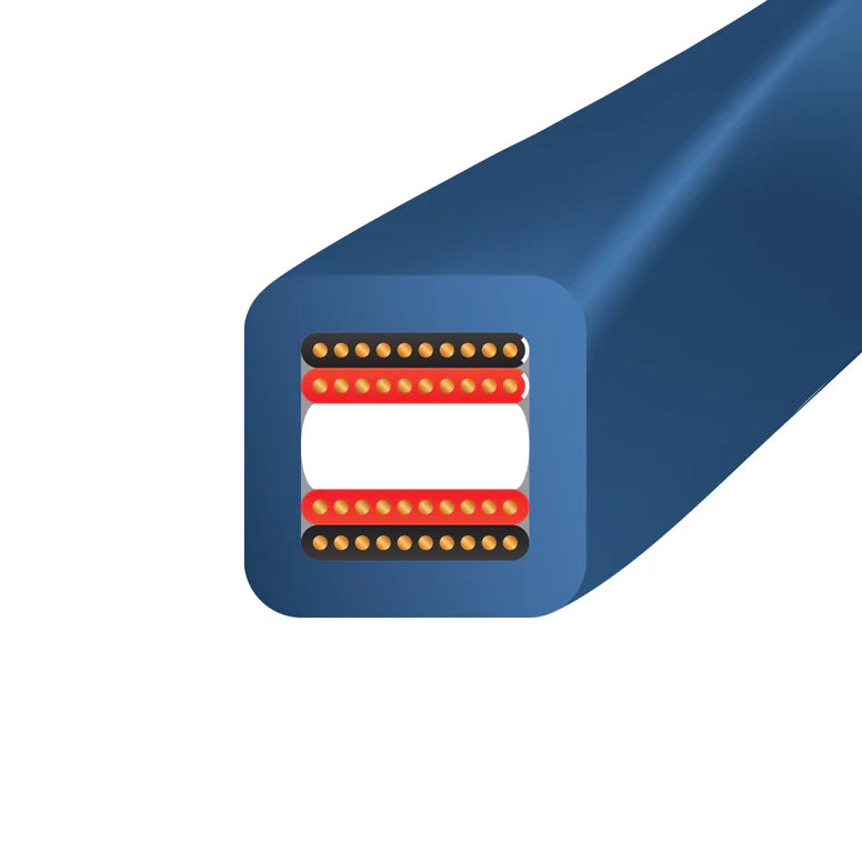 Wireworld Oasis® 10 Speaker Cable