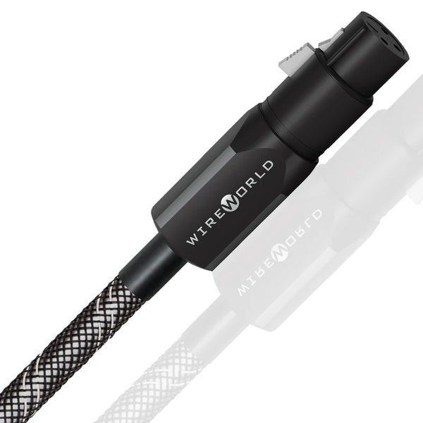 WireWorld Platinum Starlight ジャンク 一時値下げ WireWorld