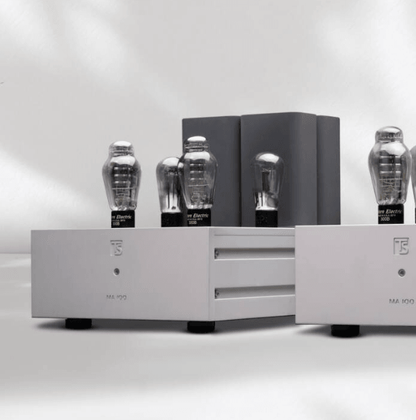 Tobian Sound Systems MA 100 Mono Power Amplifiers
