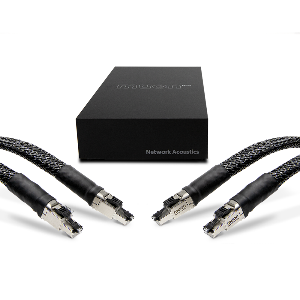 Network Acoustics muon Pro Streaming System