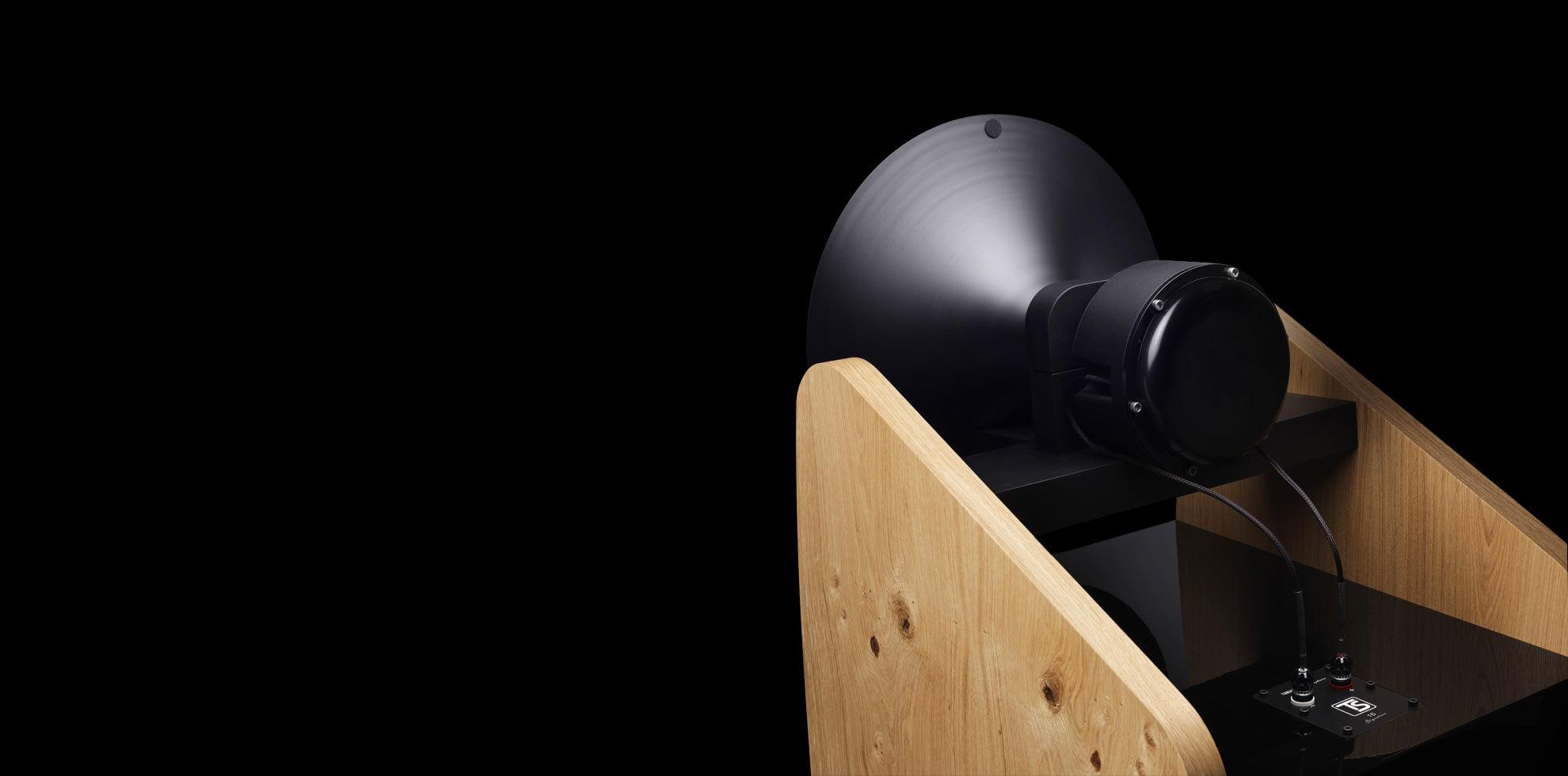 Tobian Sound System 15 Signature Horn Speaker