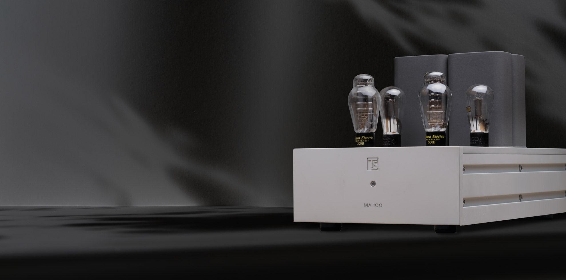 Tobian Sound Systems MA 100 Mono Power Amplifiers