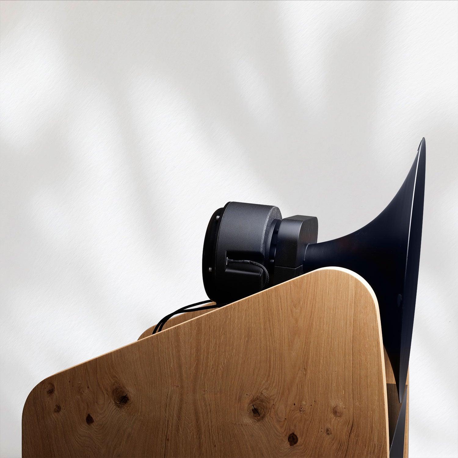 Tobian Sound System 15 Signature Horn Speaker