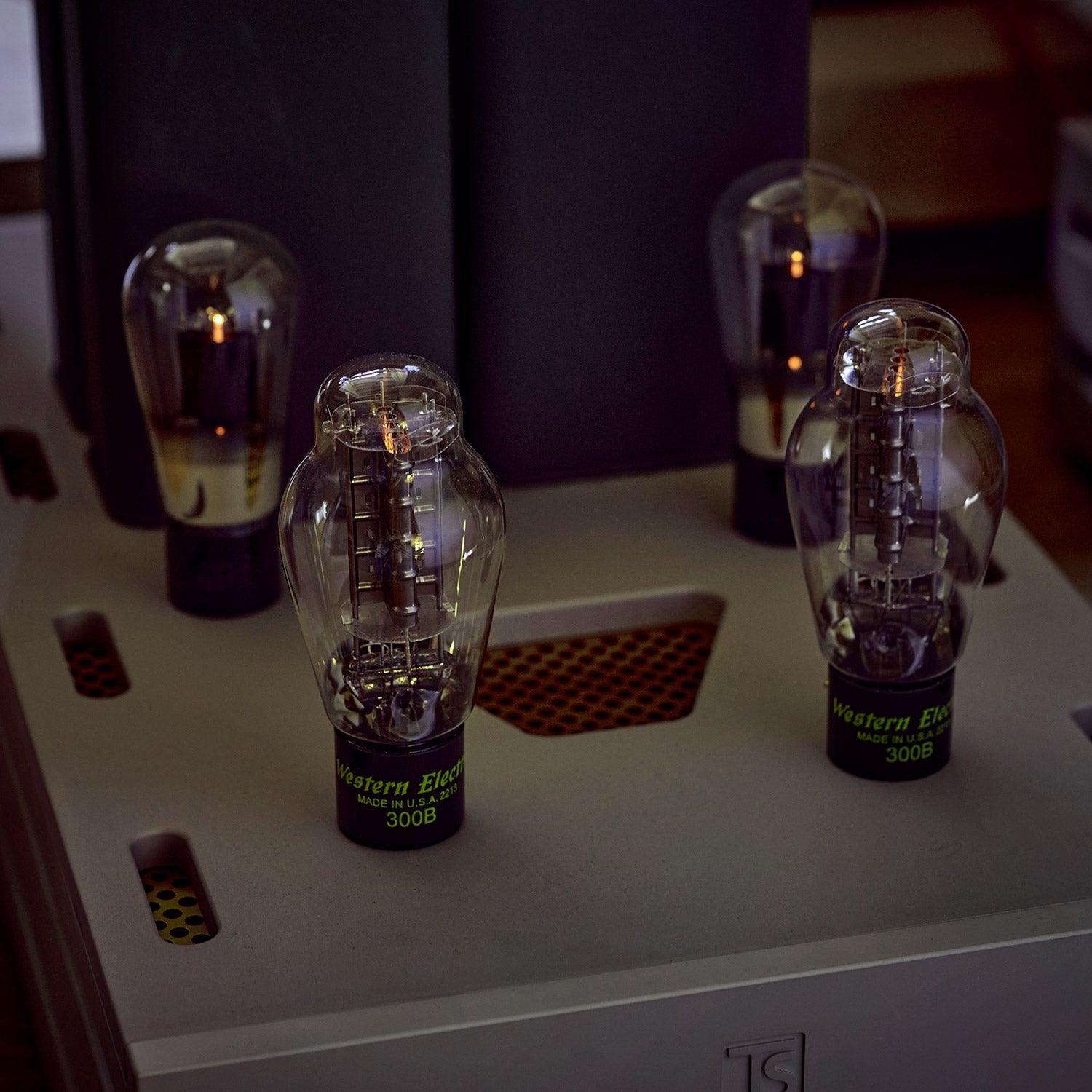 Tobian Sound Systems MA 100 Mono Power Amplifiers