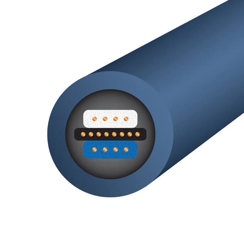 Wireworld Oasis® 10 Audio Interconnect Cable