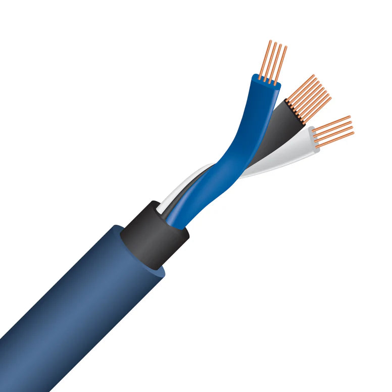 Wireworld Oasis® 10 Audio Interconnect Cable