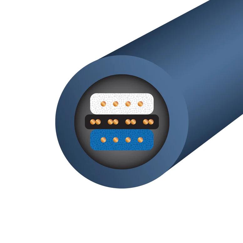 Wireworld Oasis 8 Interconnect Cable