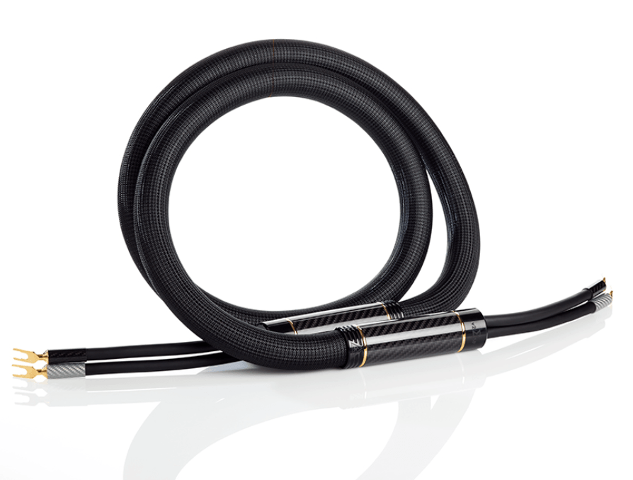 Shunyata Research Sigma v2 Speaker Cable