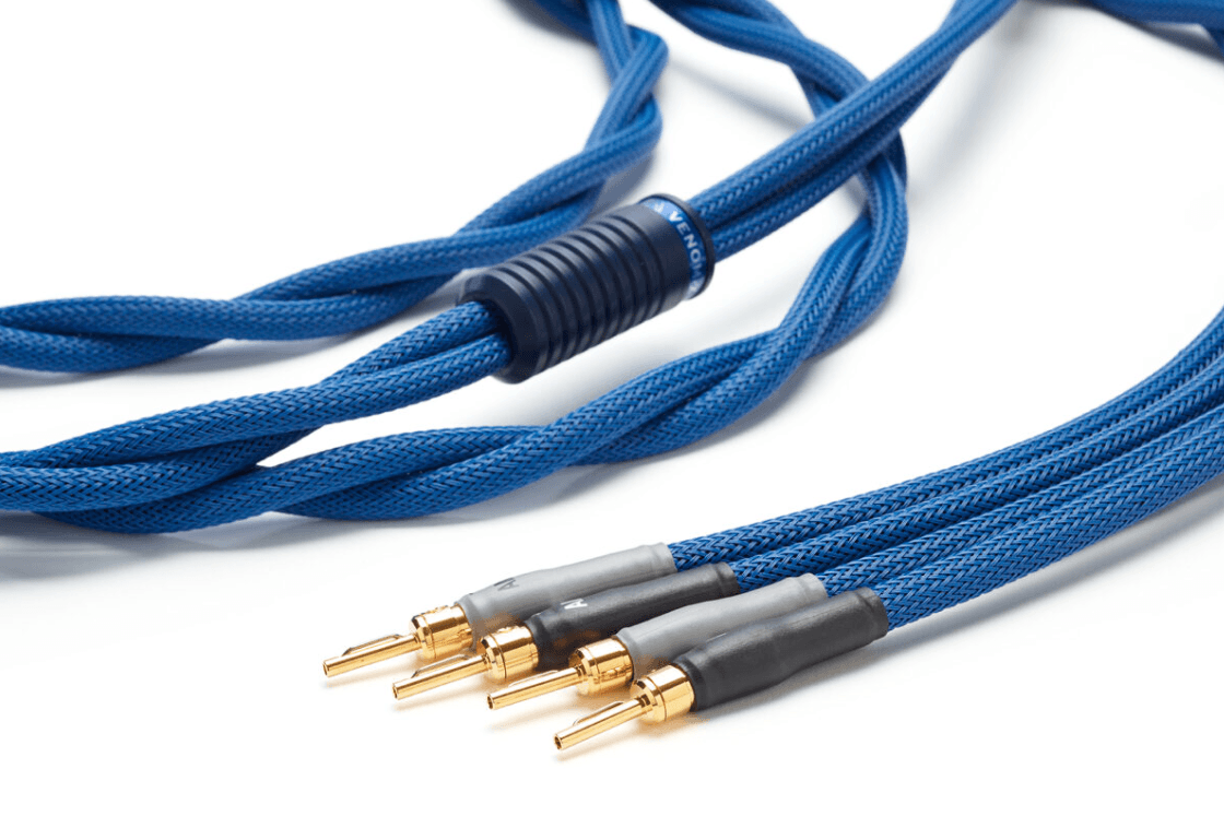 Shunyata Research STIS v3