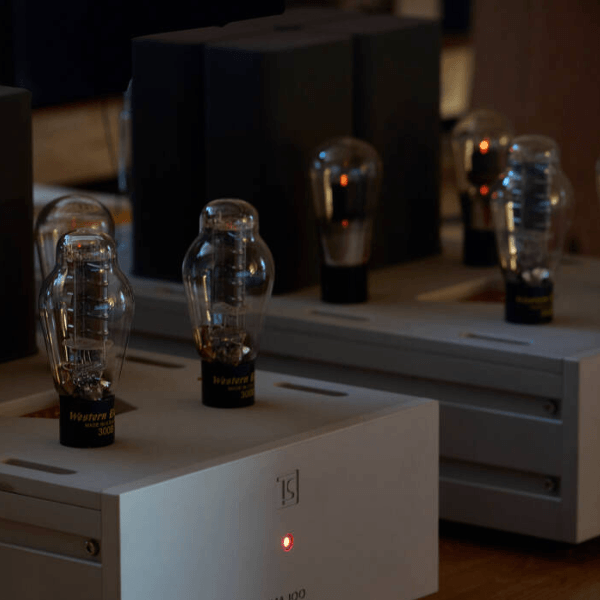 Tobian Sound Systems MA 100 Mono Power Amplifiers