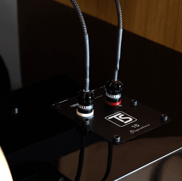 Tobian Sound System 15 Signature Horn Speaker