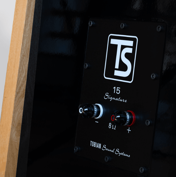 Tobian Sound System 15 Signature Horn Speaker
