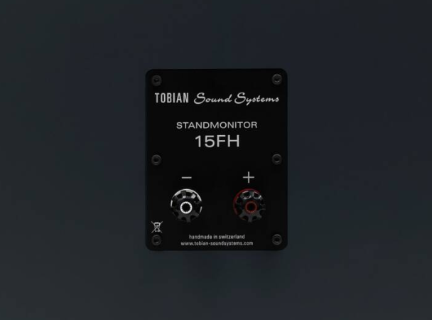 Tobian Sound Systems 15FH Full Range Horn Speaker