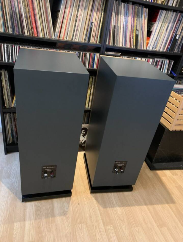 Tobian Sound Systems 12FH Full Range Horn Speakers